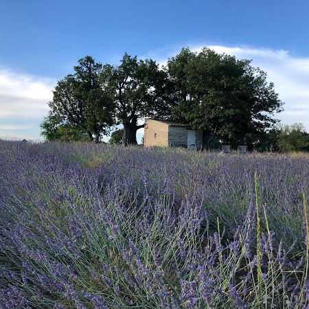 赛尼翁Cabanon Du Berger别墅 外观 照片