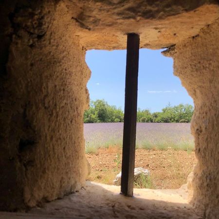 赛尼翁Cabanon Du Berger别墅 外观 照片