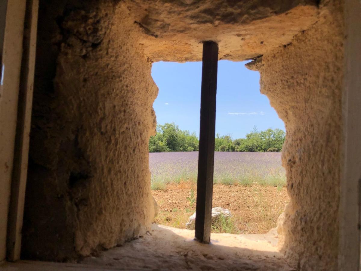 赛尼翁Cabanon Du Berger别墅 外观 照片